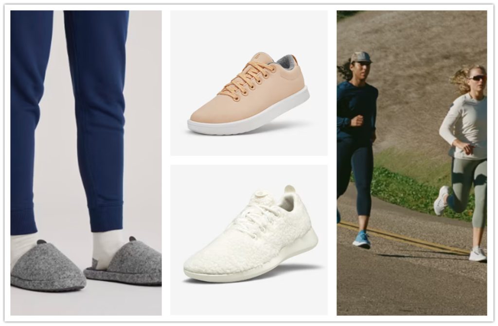 Women’s All Birds Shoes